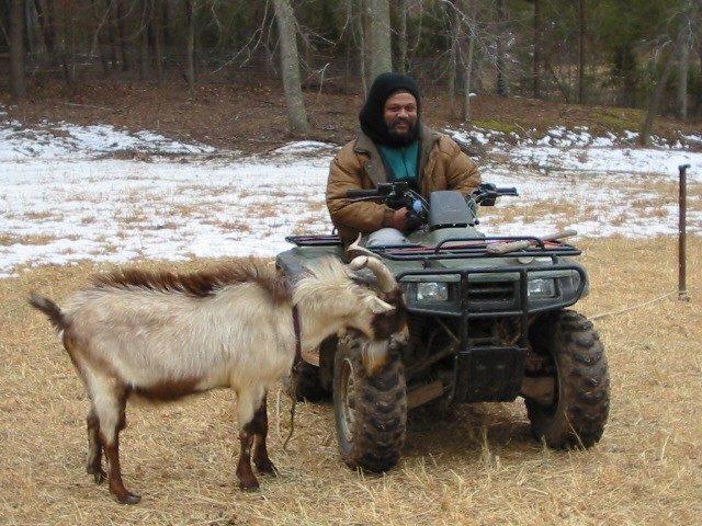 Raymond drives through a field on an all terrain vehicle with a goat on his left